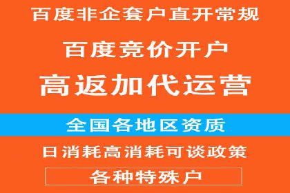 某品牌通过SEM关键词实现品牌推广的实战案例